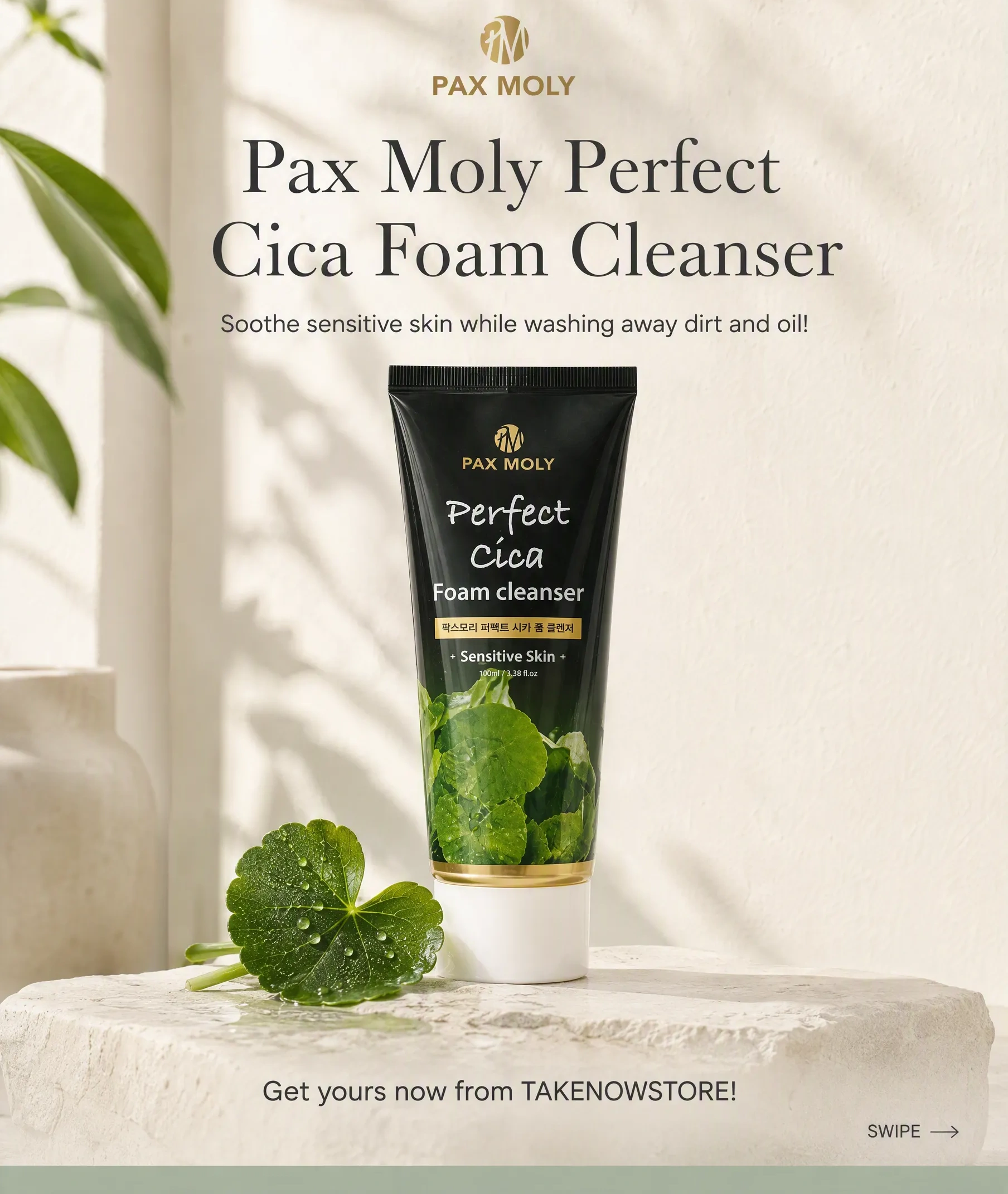 Pax Moly Perfect Cica Foam Cleanser (100ml)( Orginal Korean skincare products) 